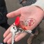 На остановке Рублево найдены ключи