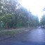 В Рублево прошел ураган. Повалены деревья, оборваны провода. В Москве десятки погибших.