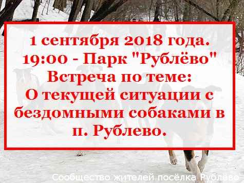Встреча по теме: О текущей ситуации с бездомными собаками в п. Рублево