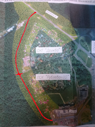 О проекте строительства дороги к зданию ЦИОГВ с вырубкой 10 Га в Ромашковом лесу