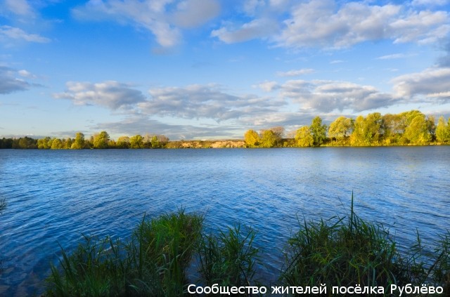 Деятели культуры против застройки поймы Москвы-реки