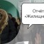 Отчёт ГБУ "Жилищник района Кунцево" в Совете депутатов